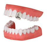 Single Tooth Grill Cap Silver Plated Small Grillz Teeth w/Mold Hip Hop + Case