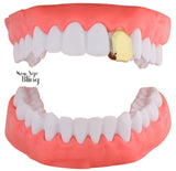 14k Gold Plated Small Single Tooth Cap Grillz Teeth w/Mold Hip Hop Grill + Case